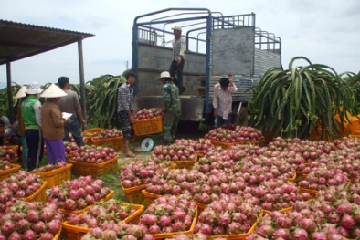 Cuộc chiến nông sản của các nước Đông Nam Á tại Hàn Quốc 